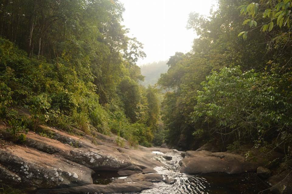 Rock View Holiday Bungalow With Natural Pool Bed & Breakfast Matale Exterior photo